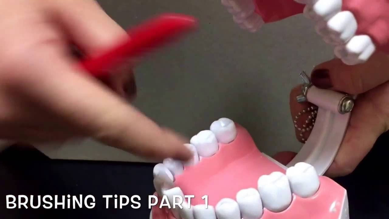 Brushing Tips Part 1 Video Thumbnail